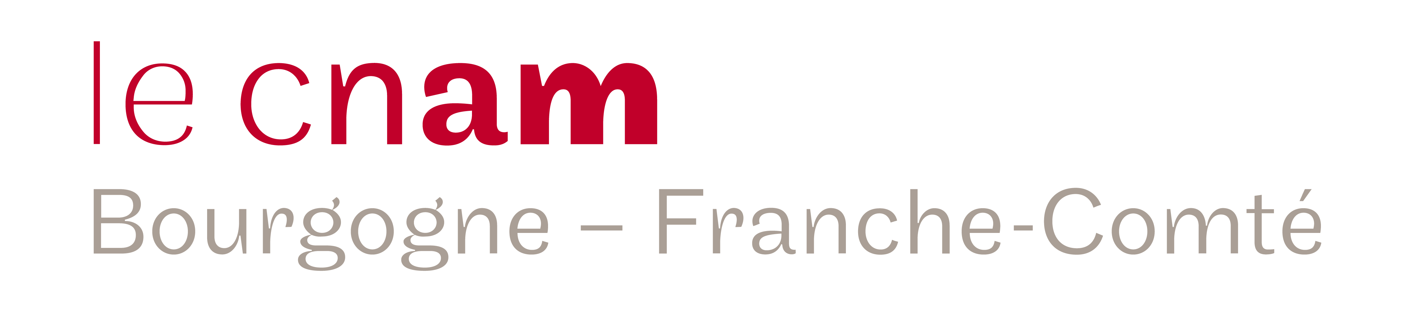 logo cnam